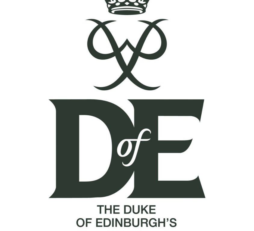 Doe Blog Cover